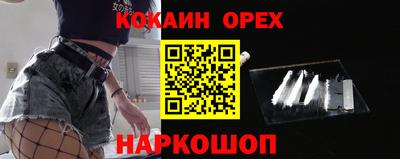 сатива Гай