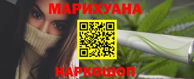 сатива Гай