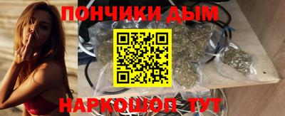 сатива Гай