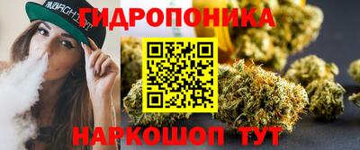 сатива Гай