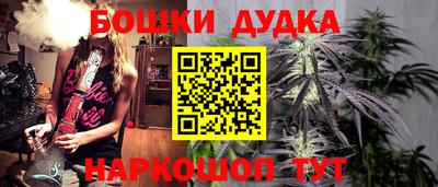 сатива Гай