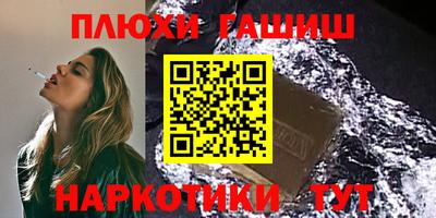 сатива Гай